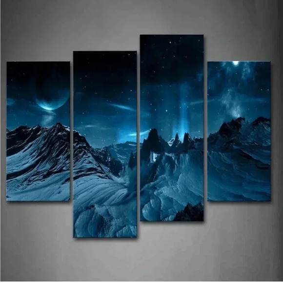 Other - New 4 piece canvas  picture